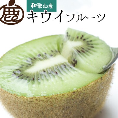 ＜12月より発送＞厳選キウイフルーツ1.5kg+45g(傷み補償分)