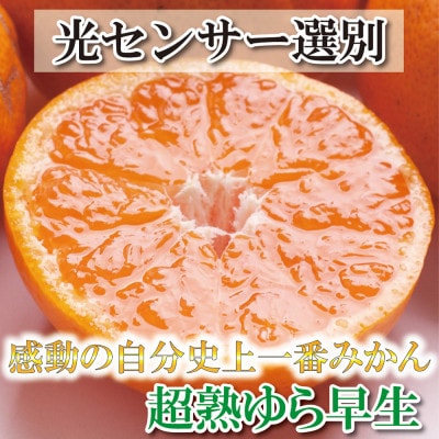 ＜2024年11月より発送＞厳選 超熟有田みかん2kg+60g(傷み補償分)【光センサー選果】