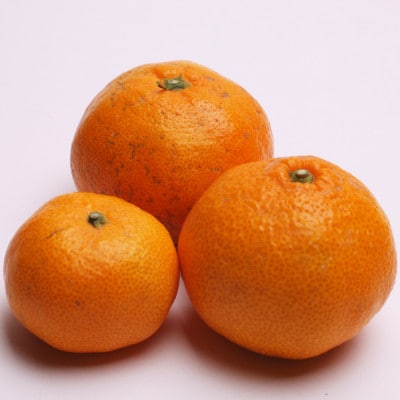 家庭用 有田みかん5kg+250g(傷み補償分)【光センサー選果】【訳あり】
