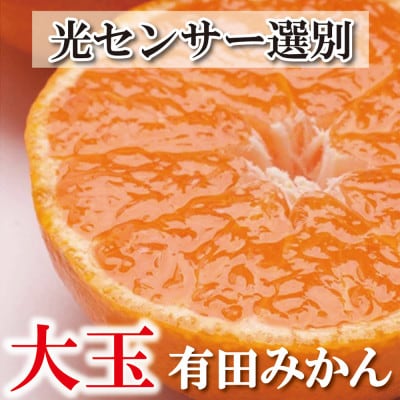 ＜2024年11月より発送＞家庭用 大きな有田みかん8kg+240g(傷み補償分)【訳あり】