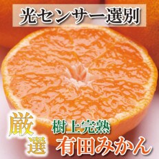 ＜先行受付＞厳選　完熟有田みかん3kg+90g(傷み補償分)【光センサー選果】