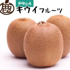 ＜12月より発送＞厳選キウイフルーツ3kg+90g(傷み補償分)