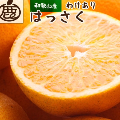 <1月より発送>家庭用 はっさく4.5kg+135g(傷み補償分)【春みかん】【訳あり】