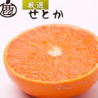 厳選 せとか1kg+250g(傷み補償分)【柑橘・春みかんの王様】【光センサー選果・食べ頃出荷】
