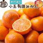 家庭用 小さな有田みかん2.5kg+250g(傷み補償分)【光センサー選果】【訳あり】