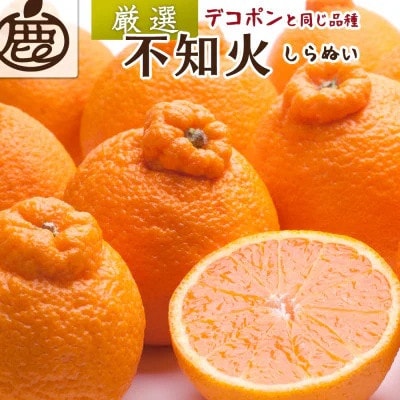 厳選 不知火2.5kg+250g(傷み補償分)【デコポンと同品種・人気の春みかん】