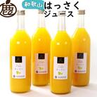無添加はっさくジュース720ml×4本【柑橘果汁100%ストレートジュース】