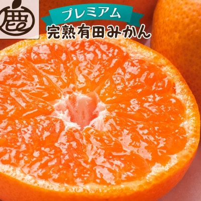 プレミアム 完熟有田みかん10kg+250g(傷み補償分)【光センサー選果】【温州みかん】