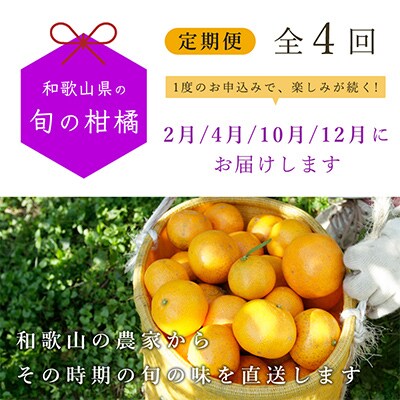 【発送月固定定期便】季節の柑橘定期便B【フルーツ定期便】【和歌山県有田】全4回
