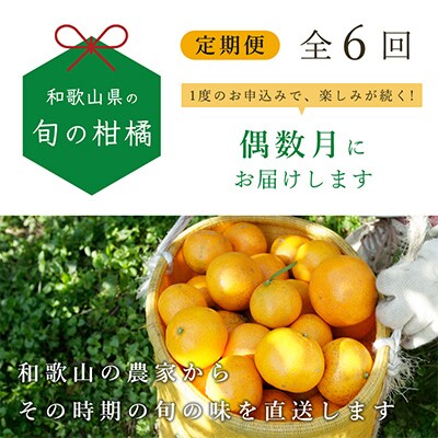 【発送月固定定期便】季節の柑橘定期便B【フルーツ定期便】【和歌山県有田】全6回