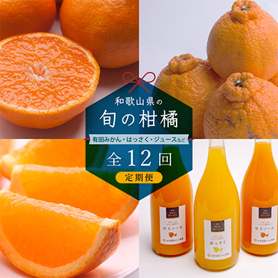 【発送月固定定期便】季節の柑橘定期便B【フルーツ定期便】【和歌山県有田】全12回