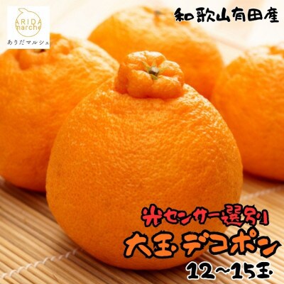≪先行予約 2027年2月～発送≫【大人気】和歌山有田の濃厚大玉デコポン　12～15玉(約5kg)