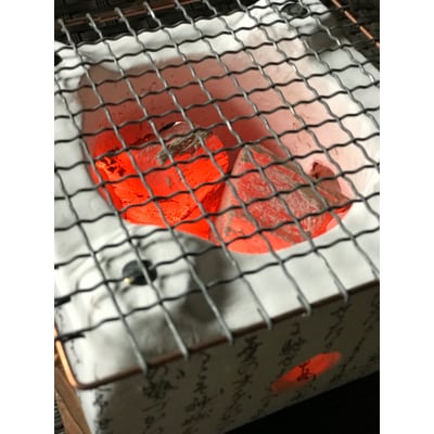 紀州備長炭　馬目並　15kg