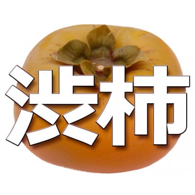 【お試し用】アンポ干し柿用平核無(ヒラタネナシ)渋柿AP-約1.5～2kg 約9～12果実