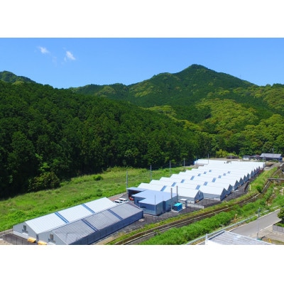 【和歌山県那智勝浦町】【テレビ番組で紹介されました】熊野なまず蒲焼詰合せ