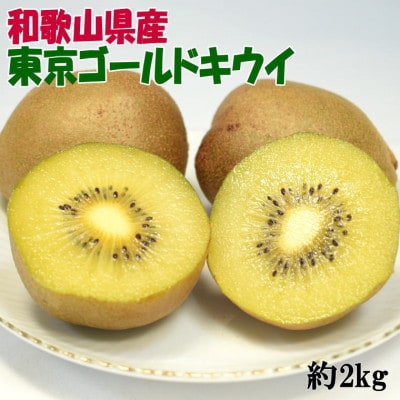 キウイフルーツの新品種「東京ゴールドキウイ」約2kg(サイズ混合)(那智勝浦町)