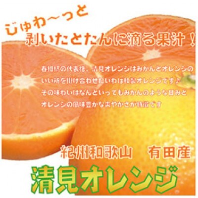 【2026年3月より順次発送】果汁たっぷり!清見オレンジ 約10kg nuk011-r-10
