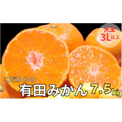 【25年10月より順次発送】有田みかん 大玉3L以上 約7.5kg nuk004-l-7d5