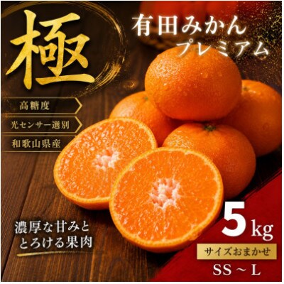 極 有田みかんプレミアム 約5kg【光センサー 高糖度選別品】2S～L (nuk004-p-5)