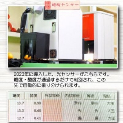 極 有田みかんプレミアム 約5kg【光センサー 高糖度選別品】2S～L (nuk004-p-5)