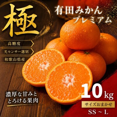 極 有田みかんプレミアム 約10kg【光センサー 高糖度選別品】2S～L (nuk004-p-10)