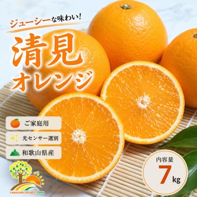 清見オレンジ みずみずしい果汁 約7kg (SS～2L混合サイズ) (nuk011-r-7)