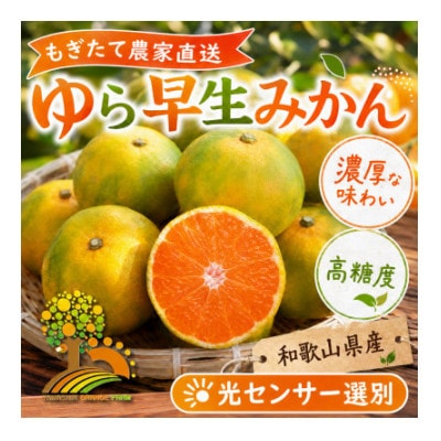 濃厚な味わいゆら早生みかん 約4kg (nuk003-yura-4)