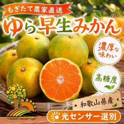 濃厚な味わい ゆら早生みかん 約10kg (nuk003-yura-10)