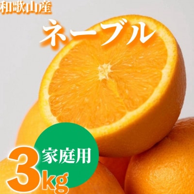 【2027年1月上旬より順次発送】和歌山県産　ネーブル　3kg家庭用(サイズ混合)【まごころ手選別】