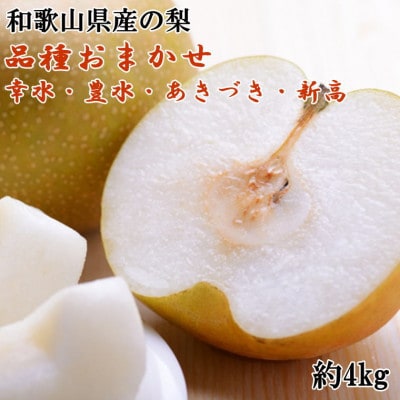 和歌山県産の梨 約4kg(品種おまかせ)(那智勝浦町)「先行予約　2027年発送分」