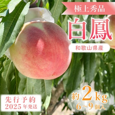 先行受付!　桃の王様【白鳳】　特秀品　約2kg　6～9個入
