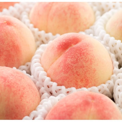 桃先行受付!　桃の王様【白鳳】　特秀品　食べきりやすい3個入り