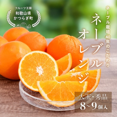 先行予約! 和歌山県産ネーブル 約4kg　大玉!(8個～9個)秀品 こだわり農家厳選!