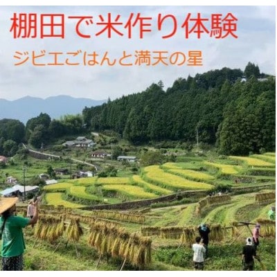 棚田で米作り体験とジビエごはん(参加チケット1回分)