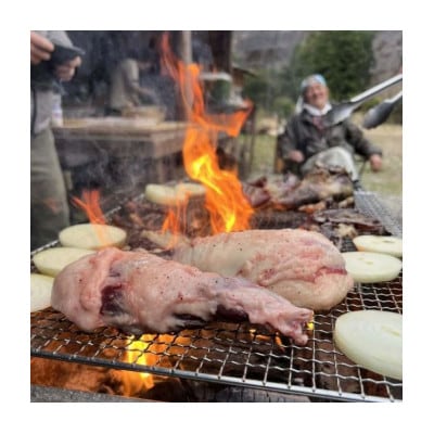 棚田で米作り体験とジビエごはん(参加チケット1回分)