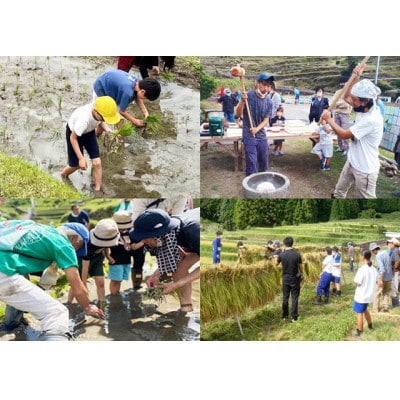 棚田で米作り体験とジビエごはん(参加チケット1回分)