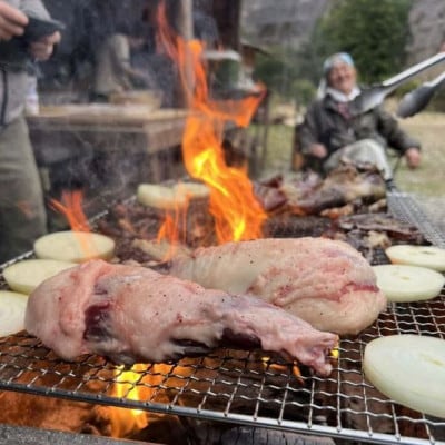 棚田で米作り体験とジビエごはん (小・中学生申し込み)