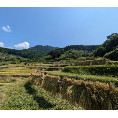 棚田で米作り体験とジビエごはん (小・中学生申し込み)