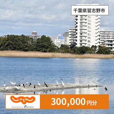 【じゃらんふるさと納税クーポン】 千葉県習志野市でつかえる300,000円 クーポン