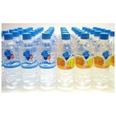 熱中症対策セットB550ml×48本セット