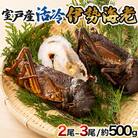 室戸産活冷伊勢海老【2～3尾】