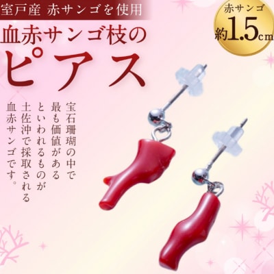 高知県室戸市,装飾品・工芸品のお礼品・返礼品一覧 | ふるさと納税