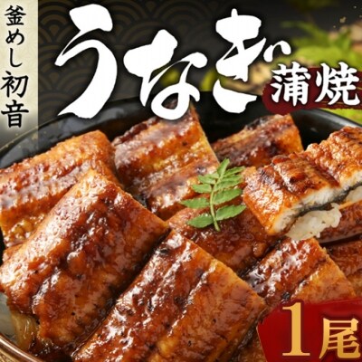 初音の高知県産うなぎ蒲焼き