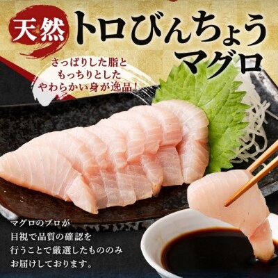 厳選トロビンチョウ鮪 お礼品詳細 ふるさと納税なら さとふる