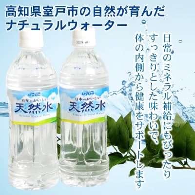 DyDo 日本のおいしい天然水 500ml×24本 水 定期便 ふるさと納税