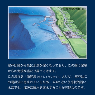 DyDo 日本のおいしい天然水 500ml×24本 水 定期便 ふるさと納税