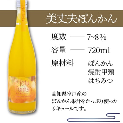 美丈夫ぽんかん 720ml リキュール