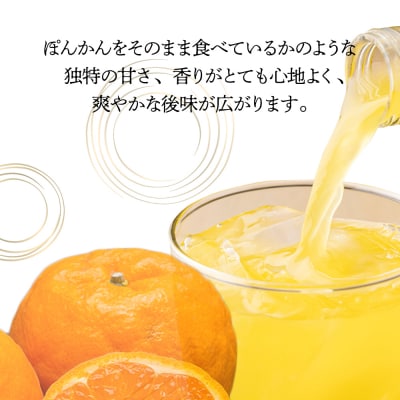 美丈夫ぽんかん 720ml リキュール