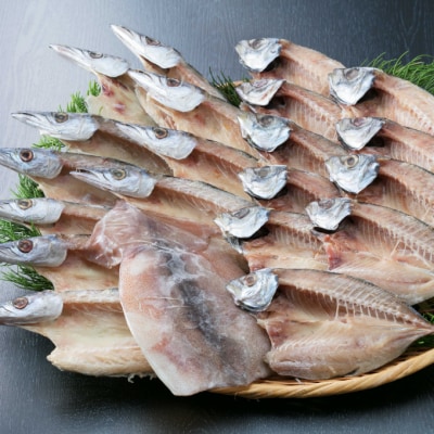 いずま海産定期便【年6回お届け】