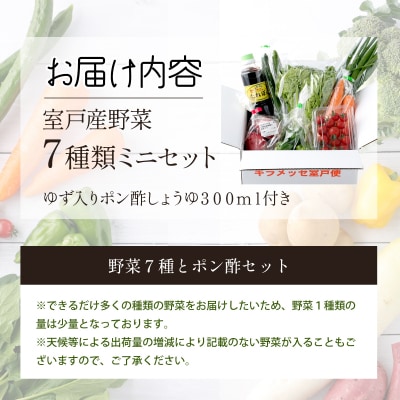 7種の新鮮野菜とポン酢セット